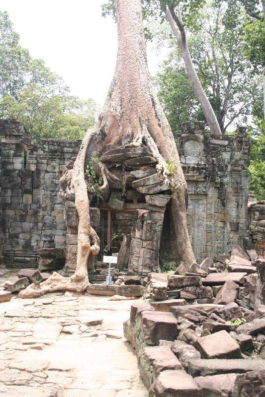 Ankor Wat 281.jpg